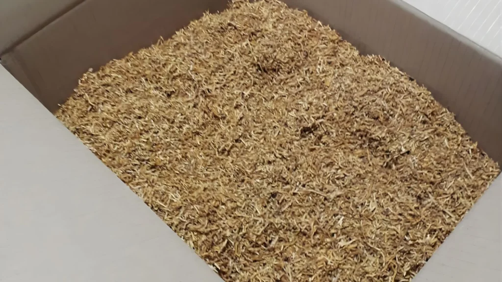 01 03 Como empezar a fumar el tabaco de liar 1