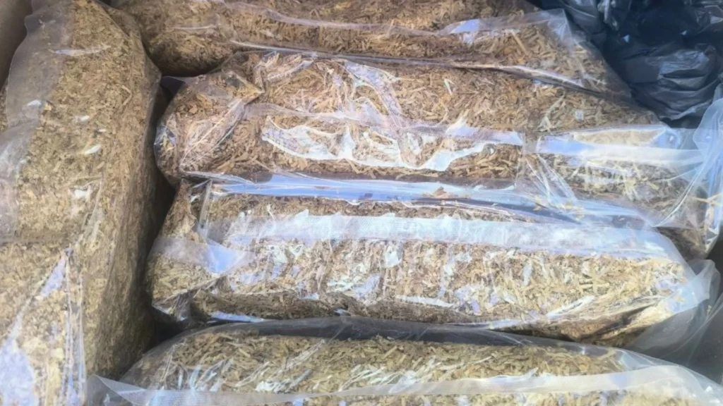 08 02 Por Que Liar Tabaco