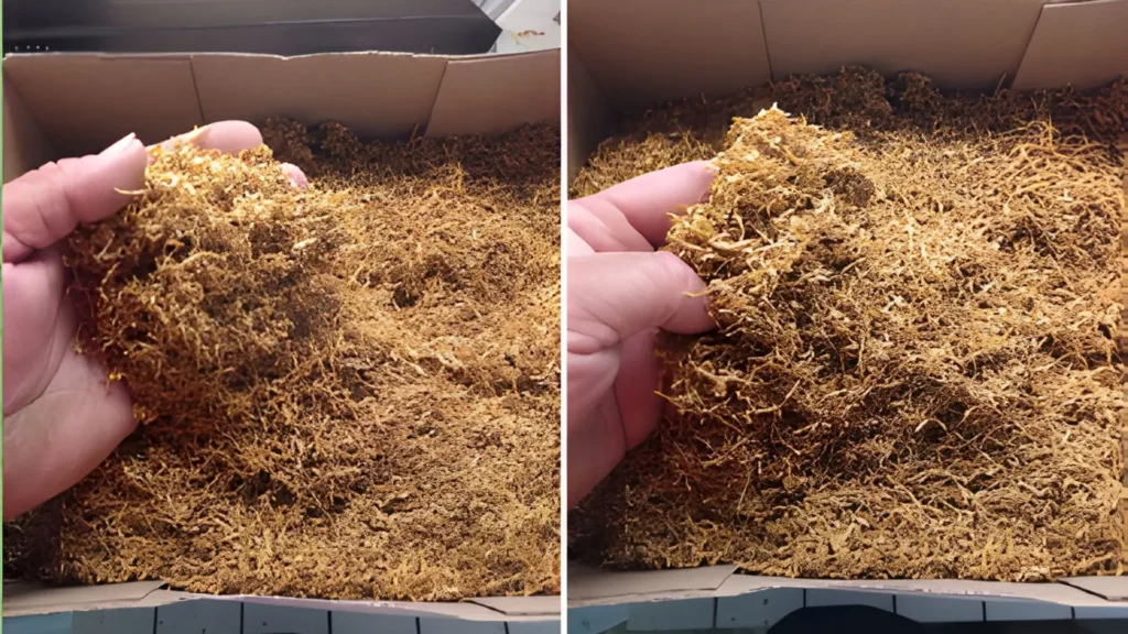 10 03 Que Tabaco de Liar Comprar